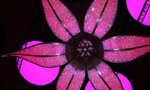 Banqueting Suite by Light And Design Associates Banqueting_Suite_by_Light_And_Design_Associates