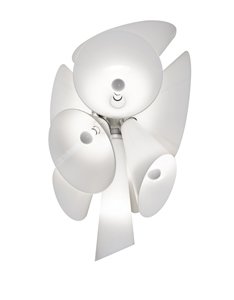 Flos_nebula