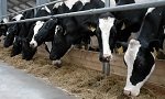 Новый метод контроля и прогнозирования результатов искусственного облучения биообъектов